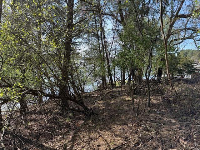 Lot 42 Oak Hollow RD, Moneta, VA 24121