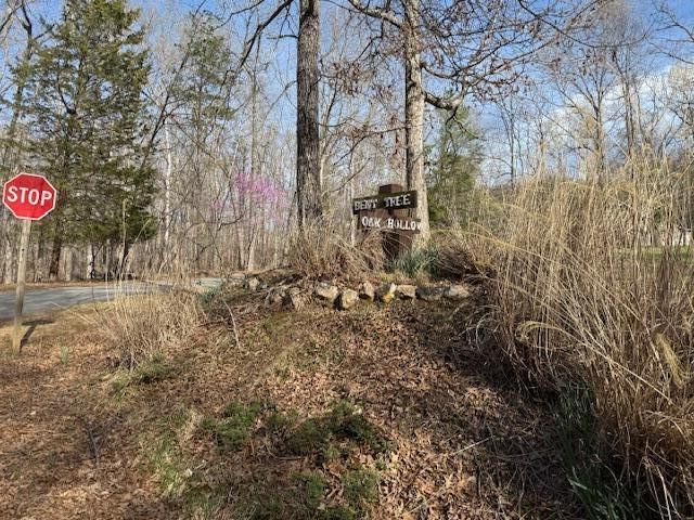 Lot 42 Oak Hollow RD, Moneta, VA 24121
