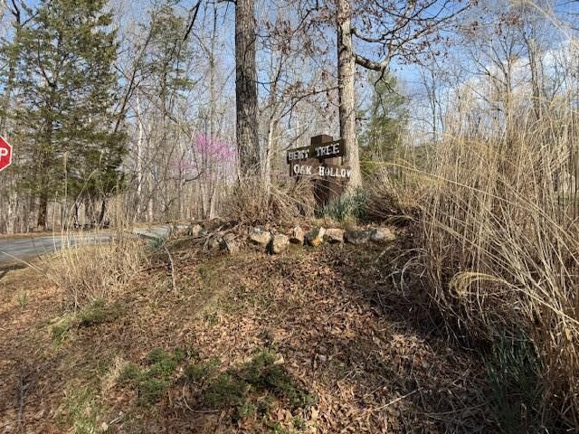 Lot 42 Oak Hollow RD, Moneta, VA 24121