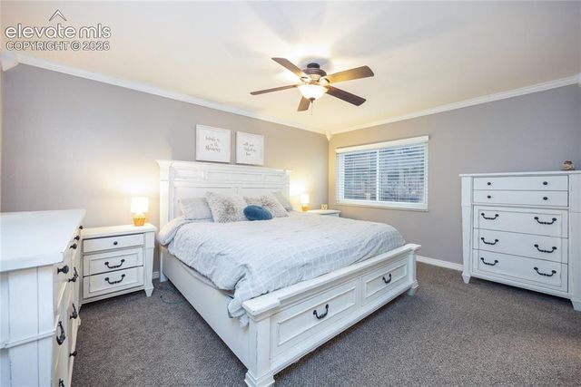 975 Tari Drive, Colorado Springs, CO 80921