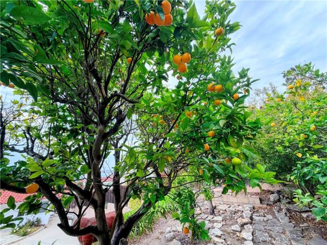 400 Via Almar, Palos Verdes Estates, CA 90274