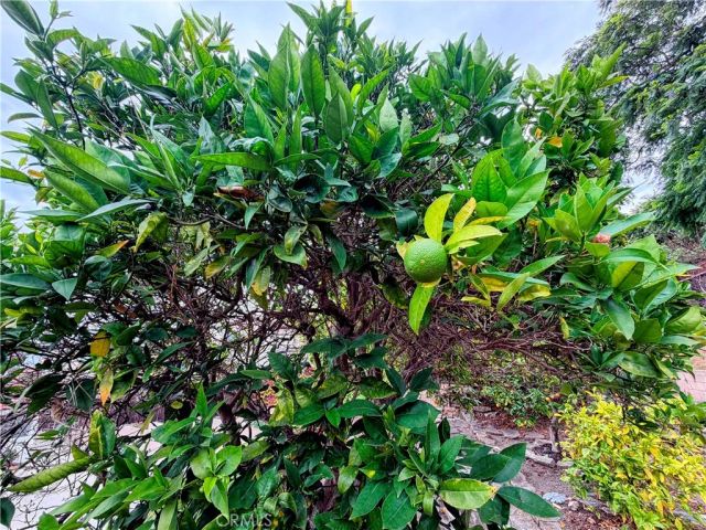 400 Via Almar, Palos Verdes Estates, CA 90274