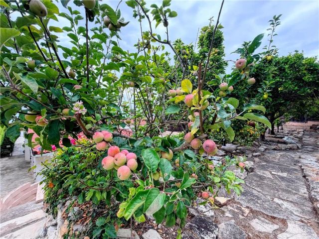 400 Via Almar, Palos Verdes Estates, CA 90274