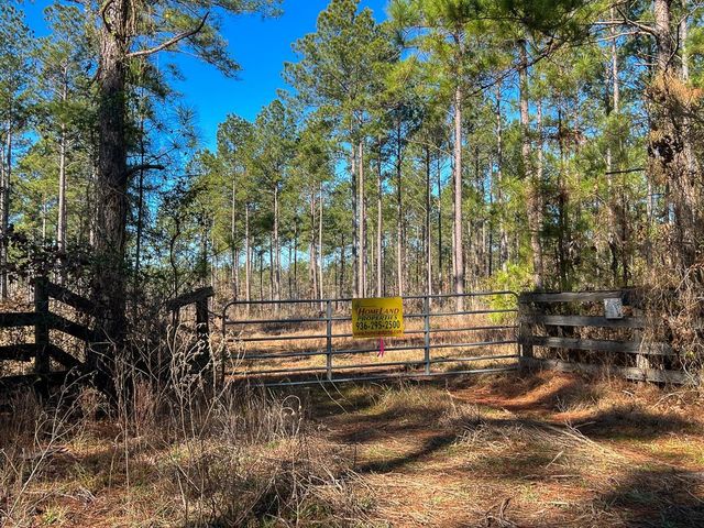 2 Louisville Road, Pennington, TX 75845