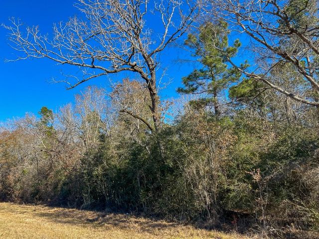 2 Louisville Road, Pennington, TX 75845