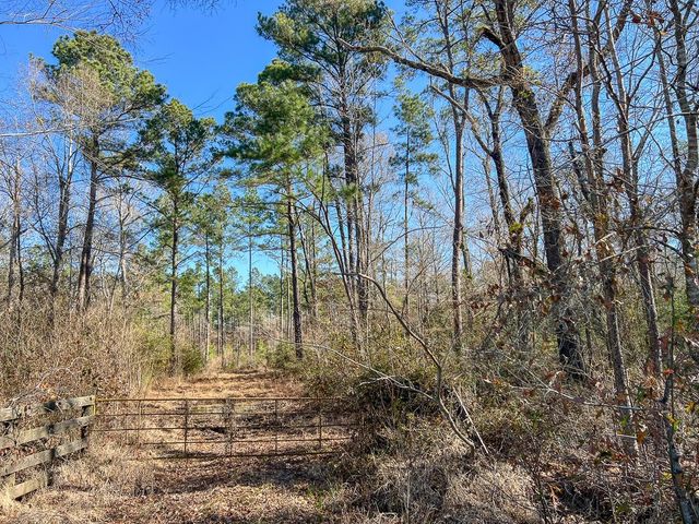 2 Louisville Road, Pennington, TX 75845