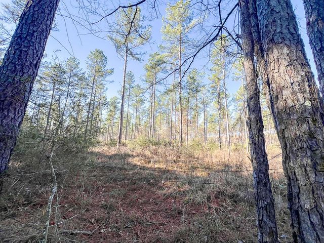 2 Louisville Road, Pennington, TX 75845