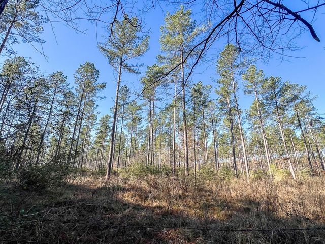 2 Louisville Road, Pennington, TX 75845