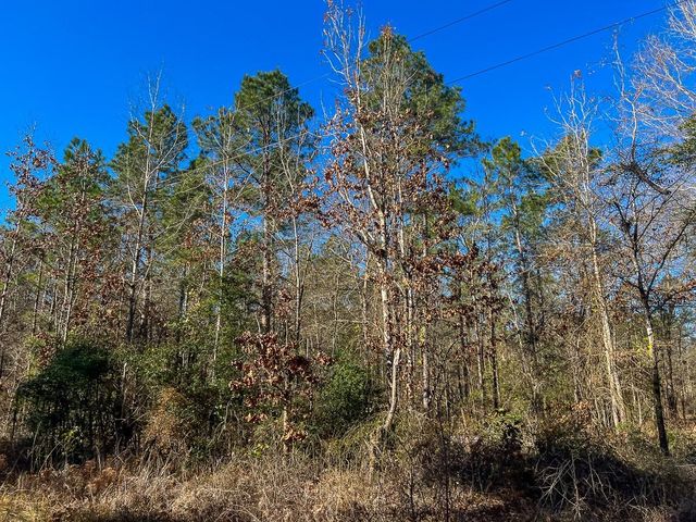 2 Louisville Road, Pennington, TX 75845