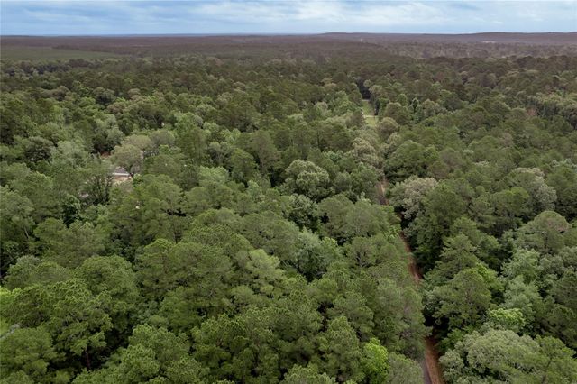 389 Live Oak Drive, Trinity, TX 75862