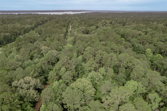 389 Live Oak Drive, Trinity, TX 75862