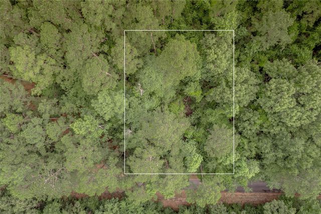 389 Live Oak Drive, Trinity, TX 75862