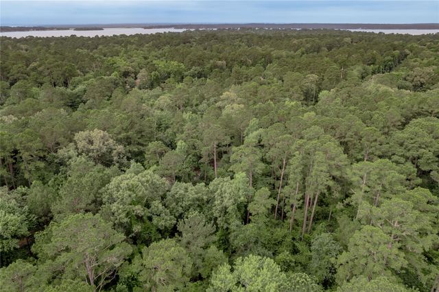 389 Live Oak Drive, Trinity, TX 75862