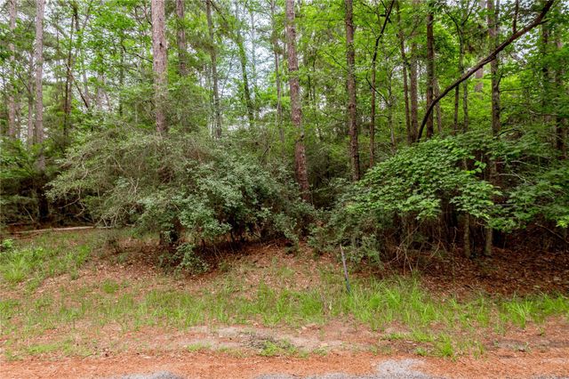 389 Live Oak Drive, Trinity, TX 75862
