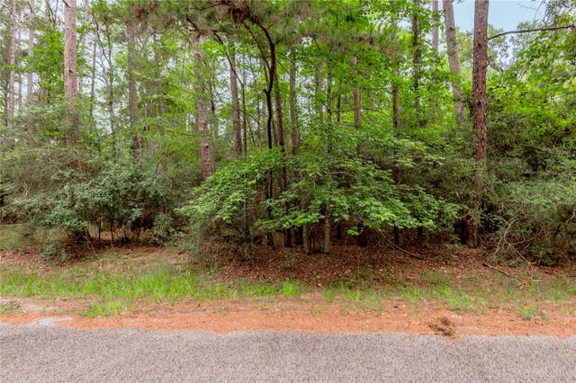 389 Live Oak Drive, Trinity, TX 75862