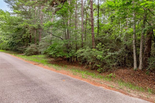 389 Live Oak Drive, Trinity, TX 75862