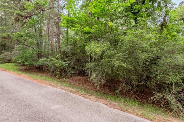 389 Live Oak Drive, Trinity, TX 75862