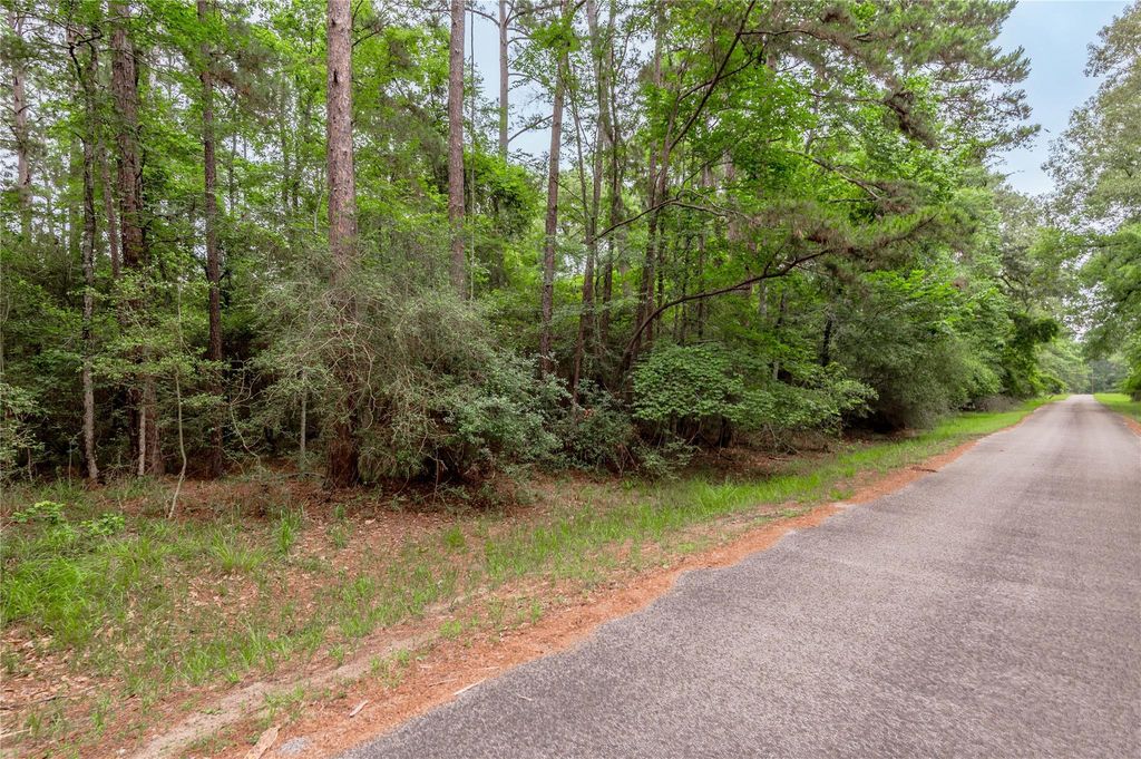 389 Live Oak Drive, Trinity, TX 75862