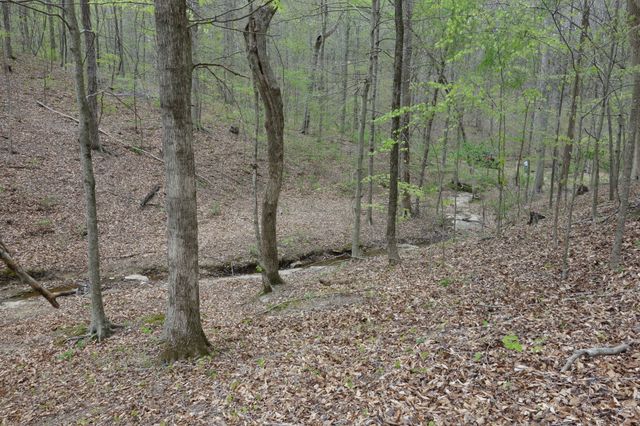 1709 Holland Rd, Lafayette, TN 37083