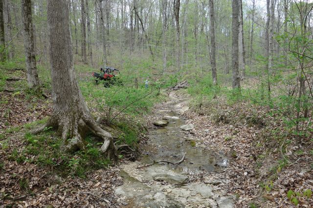 1709 Holland Rd, Lafayette, TN 37083