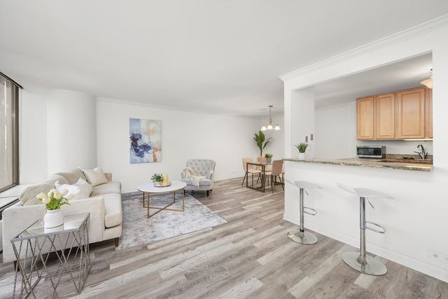 505 N Lake Shore Drive 518, Chicago, IL 60611