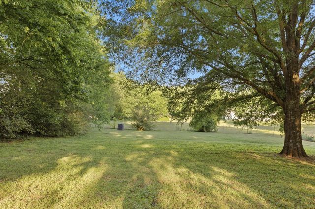 1038 S Cross Bridges Rd, Mount Pleasant, TN 38474