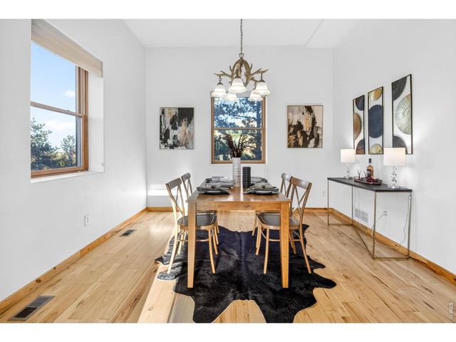 100 Snow Top Dr, Drake, CO 80515