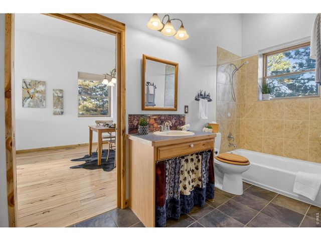100 Snow Top Dr, Drake, CO 80515