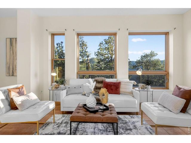 100 Snow Top Dr, Drake, CO 80515