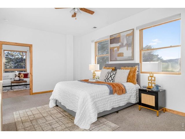 100 Snow Top Dr, Drake, CO 80515