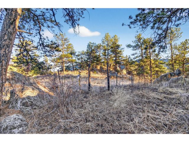 100 Snow Top Dr, Drake, CO 80515