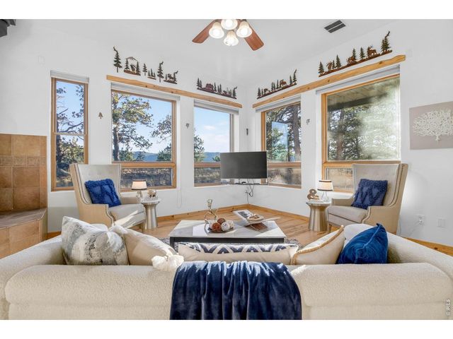 100 Snow Top Dr, Drake, CO 80515