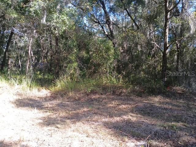 S KENTUCKY AVENUE, Deland, FL 32724