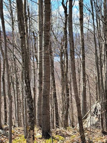 493 Wheeler Mountain Road, Barton, VT 05822