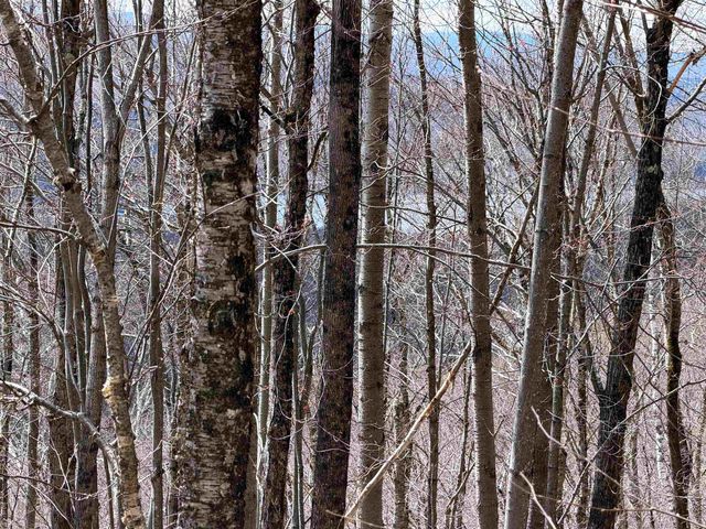493 Wheeler Mountain Road, Barton, VT 05822