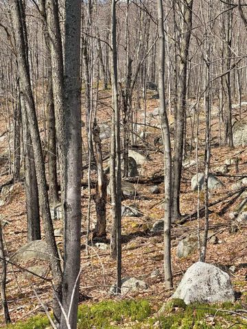493 Wheeler Mountain Road, Barton, VT 05822