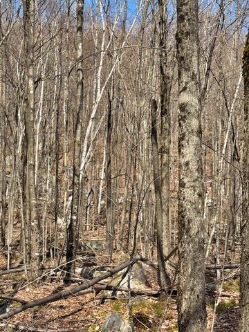 493 Wheeler Mountain Road, Barton, VT 05822