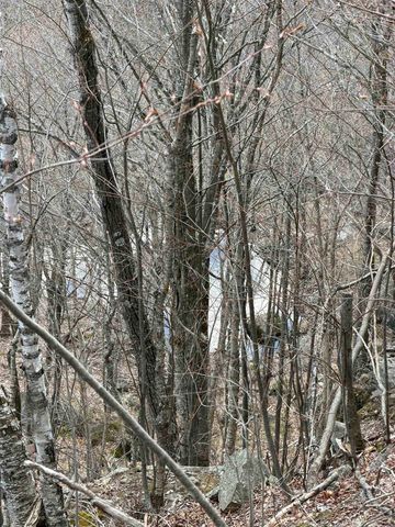 493 Wheeler Mountain Road, Barton, VT 05822