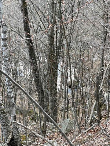 493 Wheeler Mountain Road, Barton, VT 05822