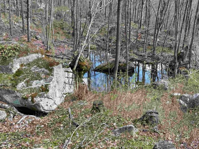 493 Wheeler Mountain Road, Barton, VT 05822