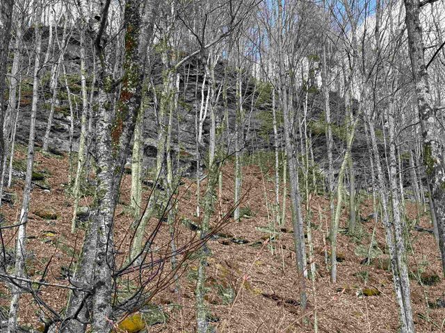 493 Wheeler Mountain Road, Barton, VT 05822