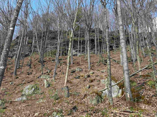 493 Wheeler Mountain Road, Barton, VT 05822