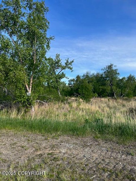 L5 B7 E Blue Atlas Circle, Palmer, AK 99645