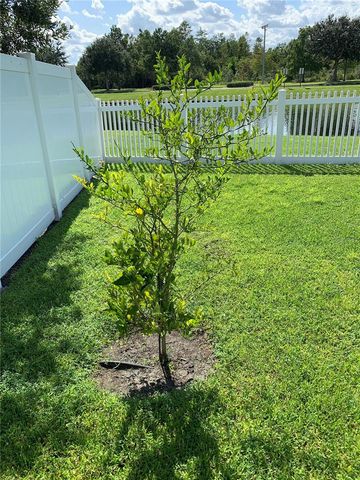 3608 CAPE COURT, St Cloud, FL 34772