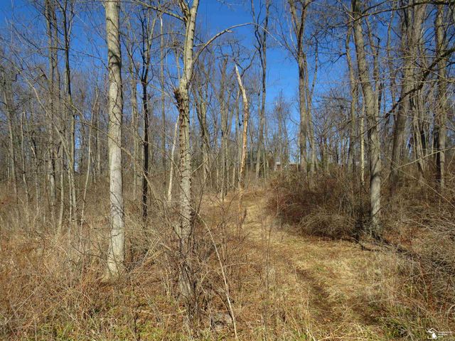 1193 Sand Lake Highway, Cambridge Twp, MI 49265