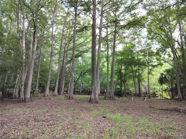 523 S Tuck Point, Inverness, FL 34450