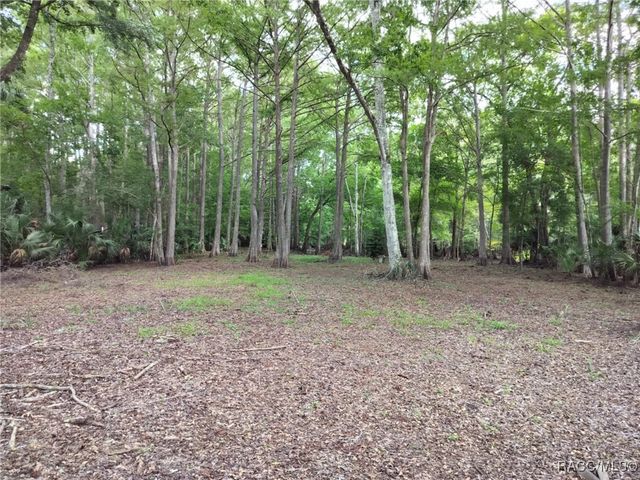523 S Tuck Point, Inverness, FL 34450