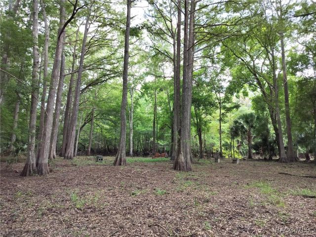 523 S Tuck Point, Inverness, FL 34450