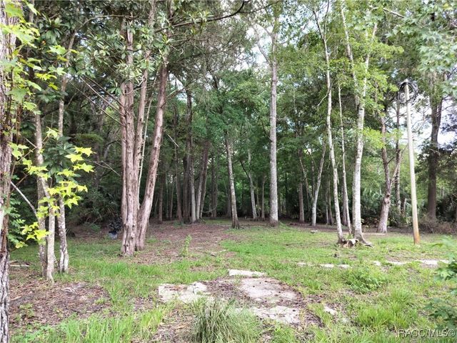 523 S Tuck Point, Inverness, FL 34450
