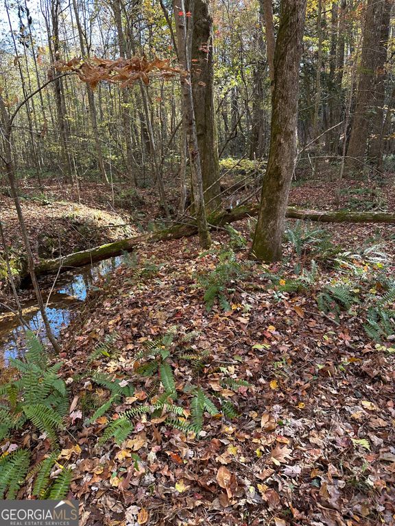 39 Planters Creek Drive, Baldwin, GA 30511 — photo 3